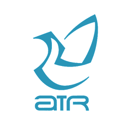 дизайн логотипа авиакомпании