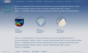 Дизайн корпоративного сайта подразделения SDC компании IBS